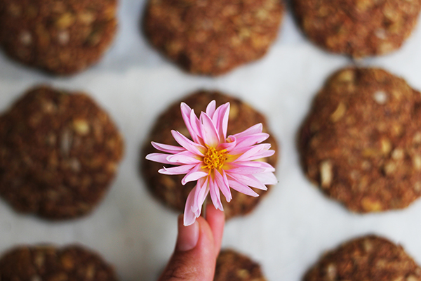 Organic Home-made Sugar-free Muesli Crunch Cookies!